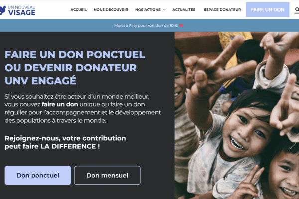 Custom wordpress plugin development